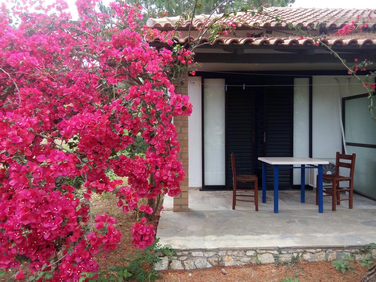 Hotel Dougas อาร์คูดี ภายนอก รูปภาพ