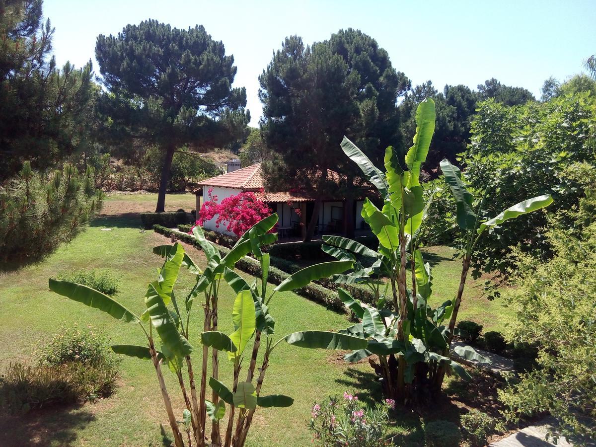Hotel Dougas อาร์คูดี ภายนอก รูปภาพ
